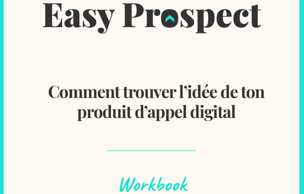 workbook trouver idee lead magnet vizeo