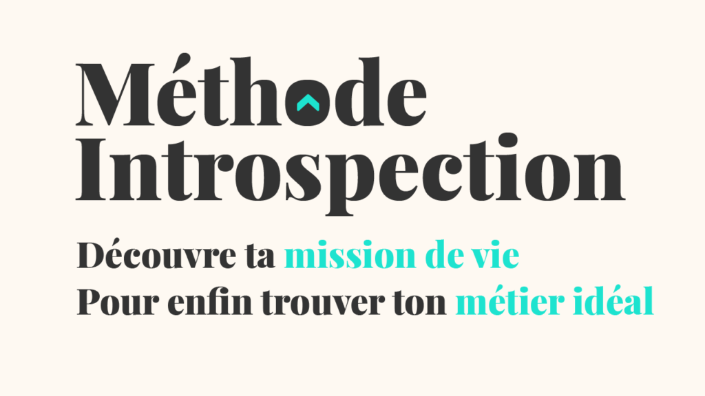 vignette methode introspection2