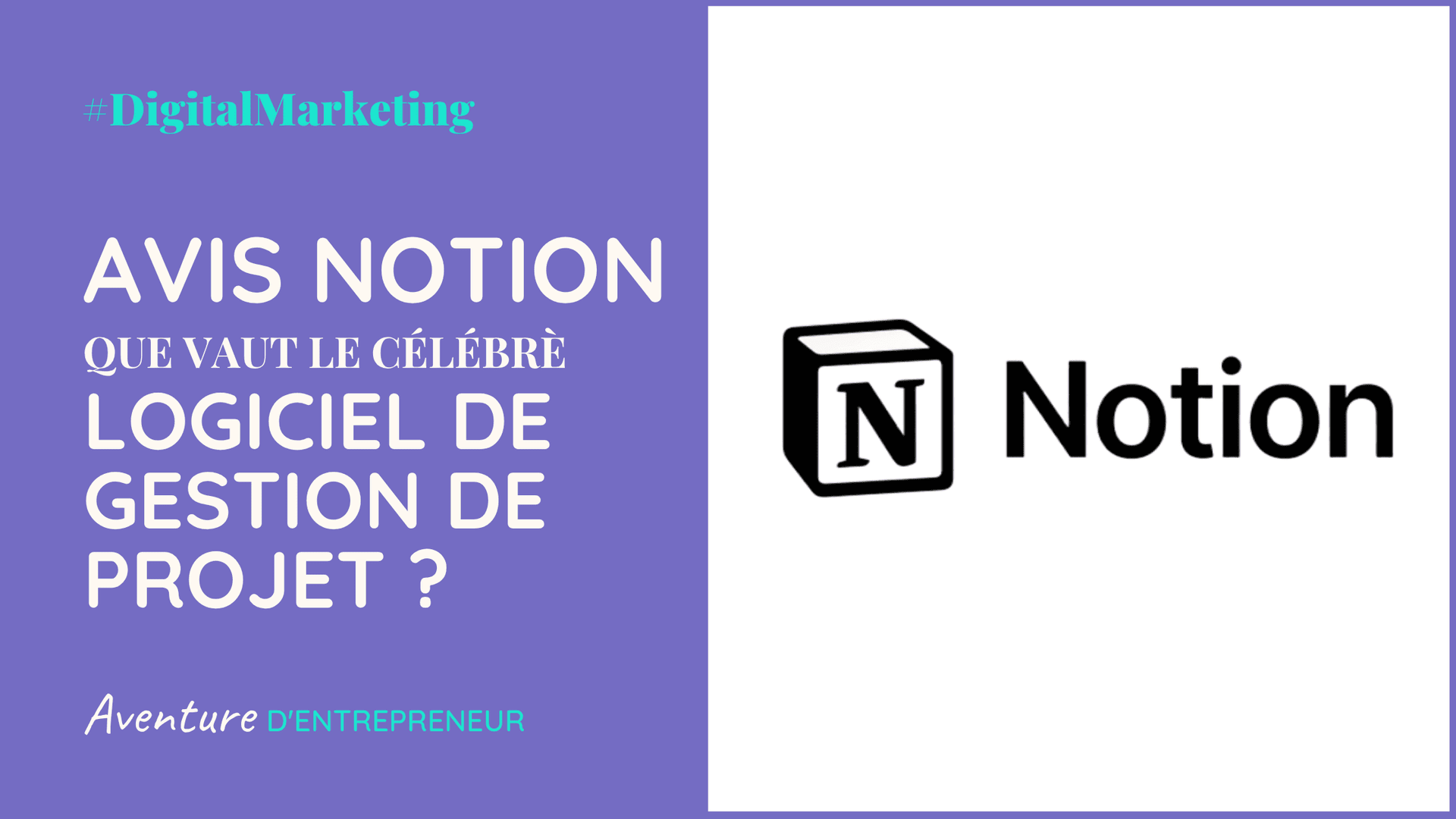 avis notion